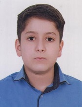بهراد نیک شیجانی