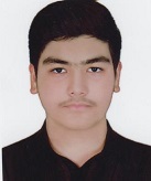 محمد ایلیا نادری پور
