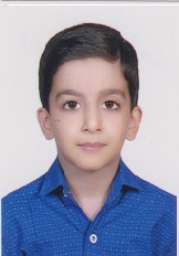 امیرمحمد رزم جو